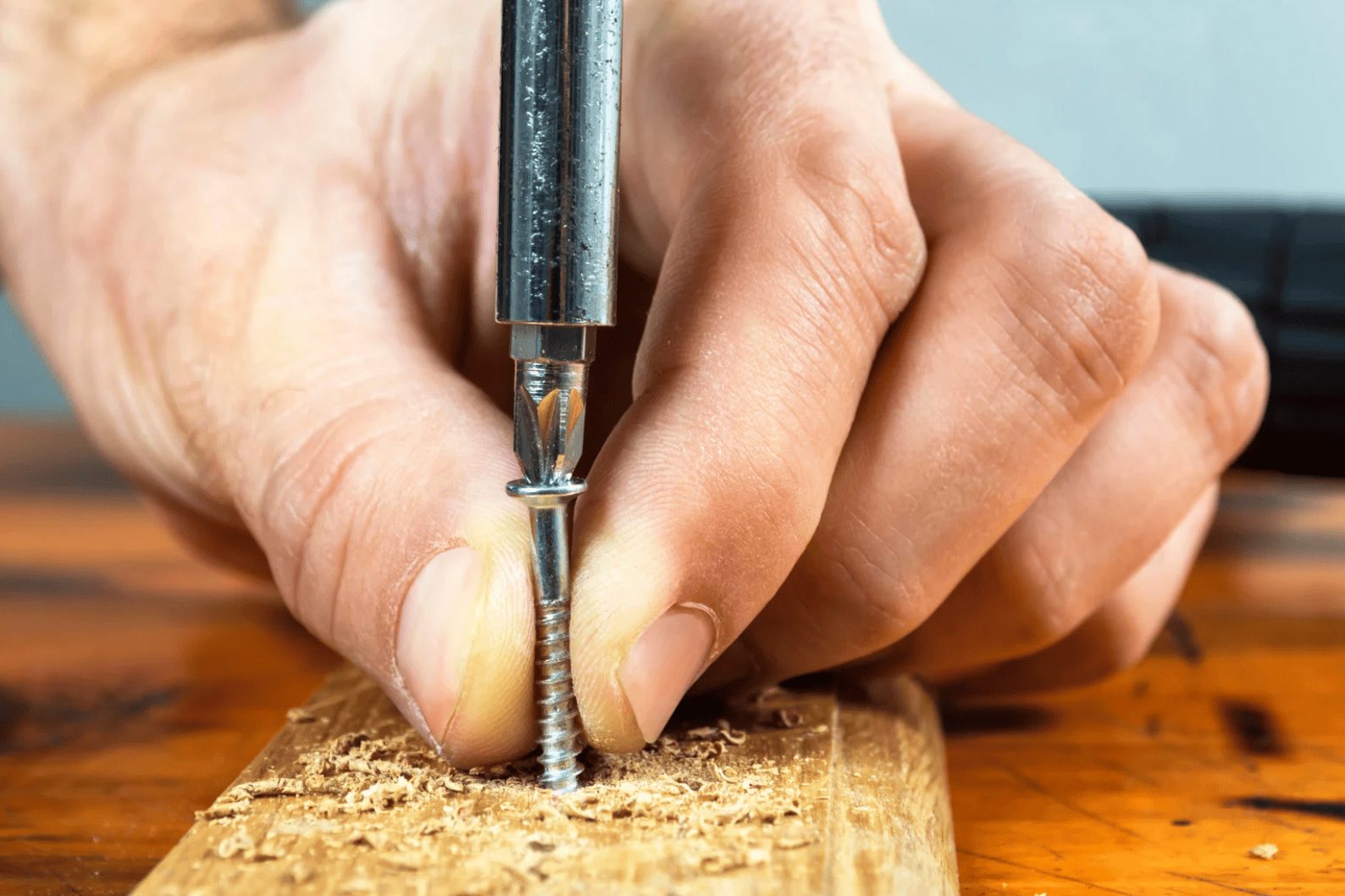 Timber Screws